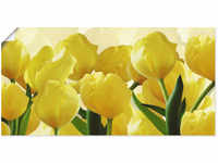 Artland Wandbild "Tulpenfeld gelb", Blumen, (1 St.), als Leinwandbild, Poster in