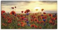 Artland Wandbild "Mohnblumen" Blumen 1 Stk. tlg. als Alubild, Leinwandbild, Poster in