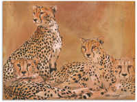 Artland Wandbild "Geparden", Wildtiere, (1 St.)