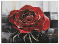 Wandbild ARTLAND "Blühende rote Rose" Bilder Gr. B/H: 80 cm x 60 cm,...