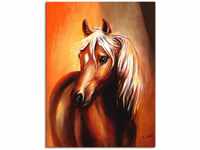 Wandbild ARTLAND "Pferd Fantasie" Bilder Gr. B/H: 60 cm x 80 cm, Leinwandbild