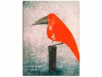 Wandbild ARTLAND "Der Rote Vogel" Bilder Gr. B/H: 60 cm x 80 cm, Leinwandbild...