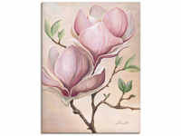 Wandbild ARTLAND "Magnolienblüten" Bilder Gr. B/H: 60 cm x 80 cm, Leinwandbild