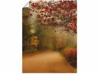 Artland Wandbild "Herbst im Park", Vier Jahreszeiten, (1 St.), als Poster in