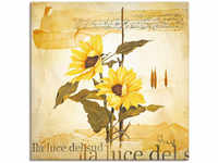 Leinwandbild ARTLAND "Licht des Südens" Bilder Gr. B/H: 50 cm x 50 cm, Blumen,...