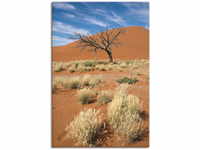 Wandbild ARTLAND "Namib-Wüste 2" Bilder Gr. B/H: 60 cm x 90 cm, Leinwandbild...