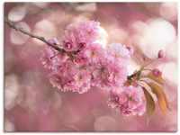 Wandbild ARTLAND "Japanische Kirschblüte in Love III" Bilder Gr. B/H: 60 cm x...