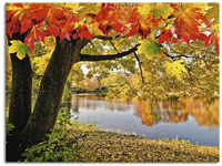 Wandbild ARTLAND "Herbsttag an einem ruhigen See" Bilder Gr. B/H: 80 cm x 60 cm,