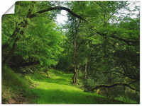 Artland Wandbild "Grüner Weg durch den Wald", Wald, (1 St.), als Leinwandbild,
