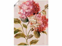 Artland Wandbild "Harmonische Hortensien", Blumen, (1 St.), als Leinwandbild,...