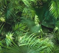 living walls Vinyltapete "Pop Up Panel 3D" botanisch floral tropisch glatt Vinyl