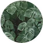 Komar Vliestapete "Vlies selbstklebend - Novel Monstera - Gr&ouml;&szlig;e 125 x 125 cm"