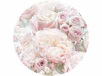 KOMAR Fototapete "Pink and Cream Roses" Tapeten 125x125 cm (Breite x Höhe),...