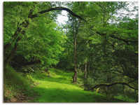 Wandbild ARTLAND "Grüner Weg durch den Wald" Bilder Gr. B/H: 60 cm x 45 cm,