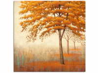 Wandbild ARTLAND "Herbst Baum I" Bilder Gr. B/H: 50 cm x 50 cm, Leinwandbild...
