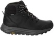 Jack Wolfskin Wanderschuh "TERRAQUEST X TEXAPORE MID M"
