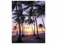 KOMAR Vliestapete "Palmtrees on Beach" Tapeten Gr. B/L: 200 m x 250 m, Rollen: 1 St.,
