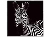 Artland Wandbild "Zebra II", Wildtiere, (1 St.), als Leinwandbild,...