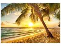 PAPERMOON Fototapete "Barbados Palm Beach" Tapeten Gr. B/L: 3,5 m x 2,6 m, Bahnen: 7