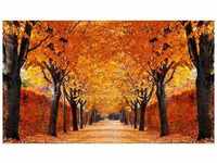 PAPERMOON Fototapete "Autumn Alley" Tapeten Gr. B/L: 3,5 m x 2,6 m, Bahnen: 7 St.,