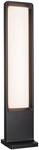 Paulmann LED Pollerleuchte "Reana 832mm 3000K 2x4W 2x240lm 230V Anthrazit Metall" 1