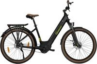 SachsenRad "C5R" 1 Gang Shimano keine Schaltwerk ohne Schaltung Mittelmotor 250 W TFT