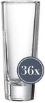 Ritzenhoff & Breker Schnapsglas "Schnapsgl&auml;ser Skol 65 ml 36er Set transparent"