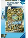 Puzzle RAVENSBURGER "Reptilien im Regal", bunt, Puzzles, KinderB:36cm H:49cm, Pappe,