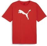 PUMA Fu&szlig;balltrikot "TEAMRISE LOGO JERSEY COTTON" f&uuml;r Fu&szlig;ball, Kurzarm, sportlicher