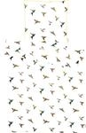 Bettw&auml;sche APELT "Kolibri", wei&szlig;, B/L: 135cm x 200cm, 1 Stk., 1 Stk.,...