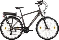 Hollandia "Zagon" 6 Gang Shimano Tourney Schaltwerk Kettenschaltung Frontmotor 250 W