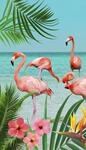 good morning Strandtuch "Flamingo" Mikrofaser, 100x180, Schnelltrocknend, Erwachsene,