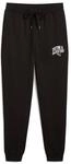 PUMA Trainingshose "CLASS SWEATPANTS TR CL" sportlicher Look, mit Eingrifftaschen,