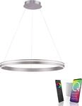 LED Pendelleuchte "Q-VITO", stahlfarben, 1, &Oslash; 79,4cm, 1 Stk., NEUHAUS Q SMART HOME