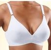 petite fleur Bralette-BH Packung, 3 St&uuml;ck, ohne B&uuml;gel im Triangel-Schnitt aus