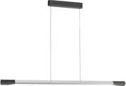PAUL NEUHAUS Pendelleuchte "HOOP", grau (anthrazit), 1, H: 5cm, 1 Stk., Leuchten,