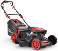G&uuml;de Benzinrasenm&auml;her ""Big Wheeler 514.9 R"" f&uuml;r Rasenfl&auml;chen bis 1800m&sup2;