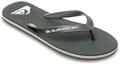 Quiksilver Sandale "Molokai Core"