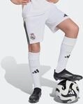 adidas Performance Trainingsshorts "REAL MADRID 25/26 KINDER"