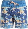 Quiksilver Boardshorts "Everyday Straight 15""