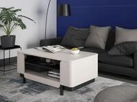FORTE Couchtisch "VODOL" Couchtisch, Ablageboden, 2 offen F&auml;cher