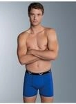 Trigema Boxer "TRIGEMA Bequeme Pants mit Webgummibund" 1 Stk.