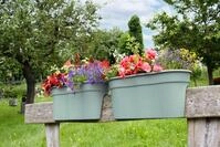 KHW Balkonkasten "Flowerclip XXL" BxTxH: 57,5x27,7x27 cm