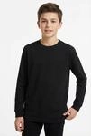 Name It Langarmshirt "NKMVOBBO LS NREG TOP NOOS"