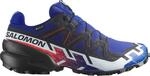 Salomon Trailrunningschuh "SPEEDCROSS 6 GORE-TEX EQUIPE" wasserdicht