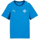 Trainingsshirt PUMA "Island 2026 Heimtrikot Jugendliche", Kinder, Gr. 176, electro