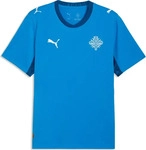 PUMA Trainingsshirt "Island 2026 Heimtrikot Herren" electro royal wei&szlig; blau Herren