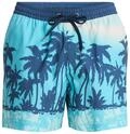Quiksilver Boardshorts "Everyday Printed Volley 15""