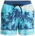 Boardshorts QUIKSILVER "Everyday Printed Volley 15", Herren, Gr. L, blau (aqua