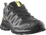 Trailrunningschuh SALOMON "XA PRO 3D V9 GORE-TEX", Herren, Gr. 45, schwarz, schwarz